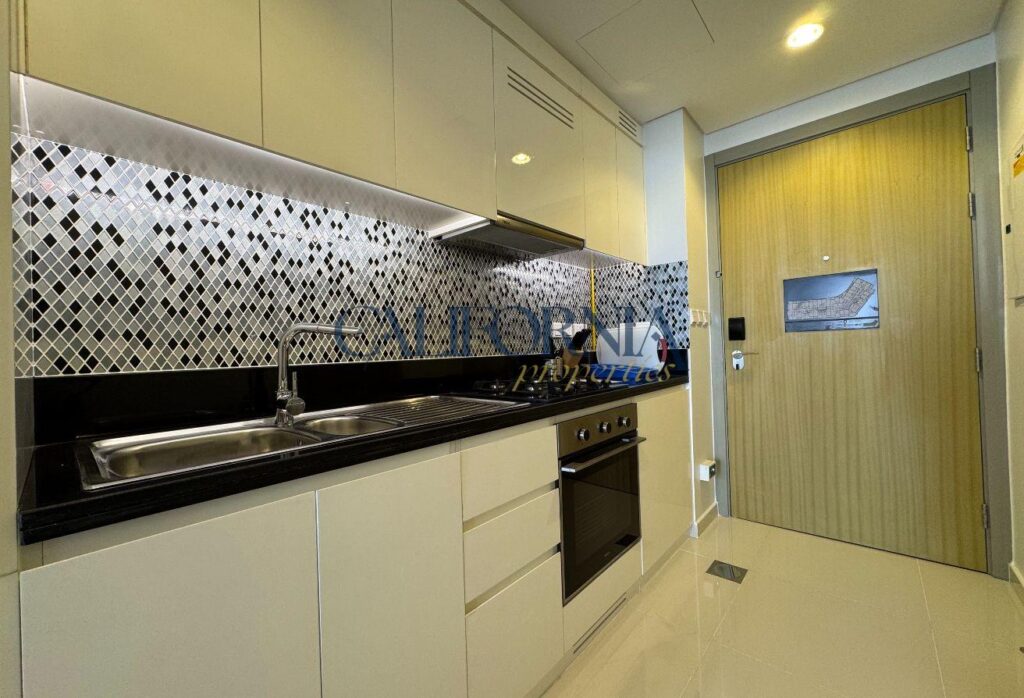 Luxury Studio | Big Layout | Hotel Style Finish - 3