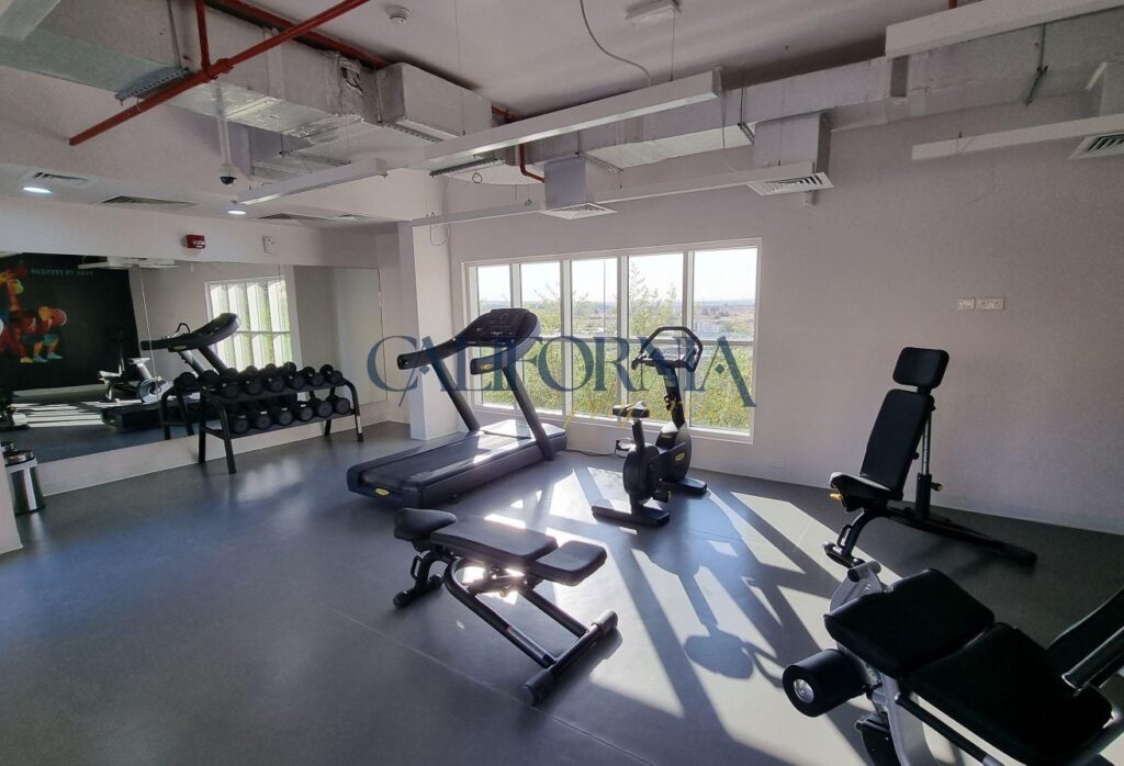 Semi-Furnished | Road and Park View - 4